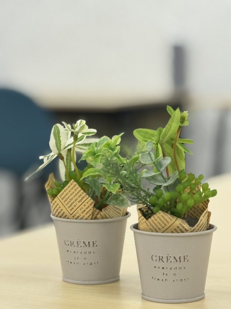 【訓練環境づくり】事業所に観葉植物を設置しました！