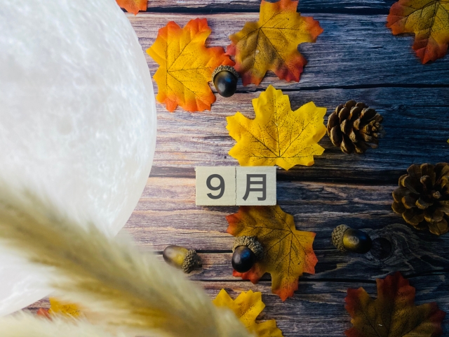 【講座】9月のスケジュール【グループワーク】