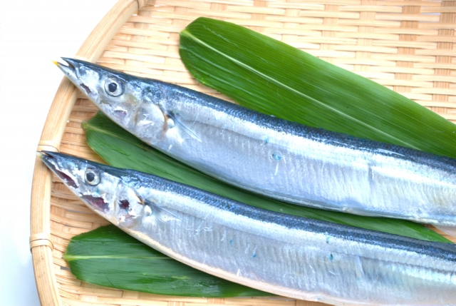 秋の味覚を楽しもう！！【コラム】