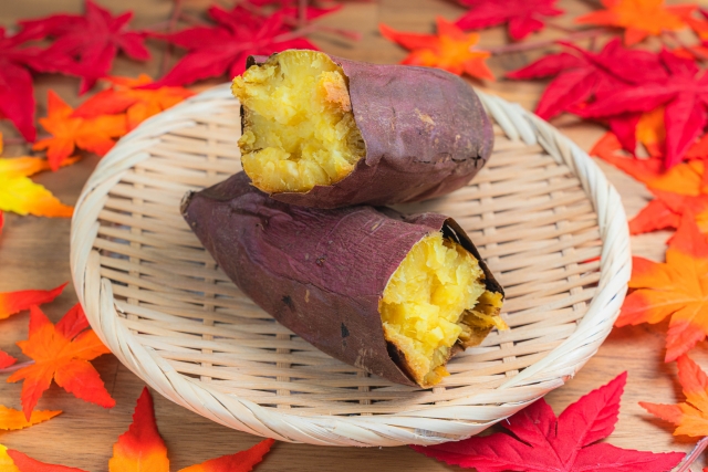 🍠秋の味覚「さつまいも」を楽しもう【コラム】