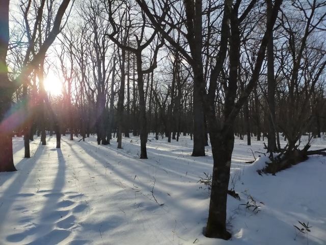 【情報】冬の朝をラクにする！起きやすくなる3つの習慣