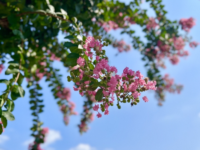 【グループワーク】街の魅力をプレゼンしよう！