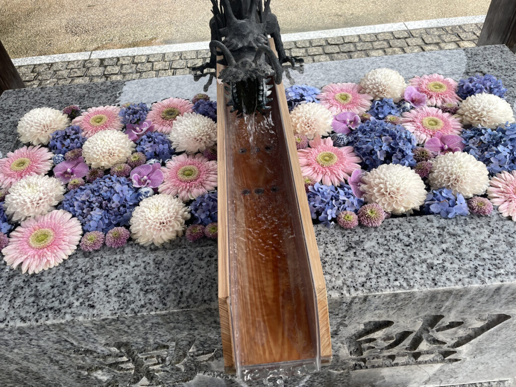 茅の輪くぐりに行ってきました！
